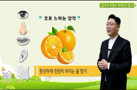 sample image 11