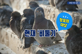 sample image 11