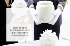 sample image 11