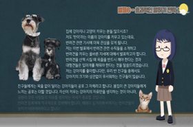 sample image 11