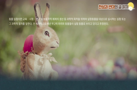 sample image 11