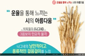 sample image 11