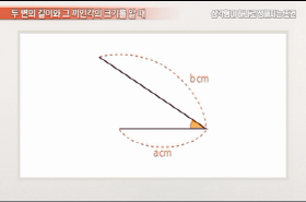 sample image 11