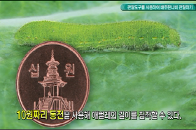 sample image 11