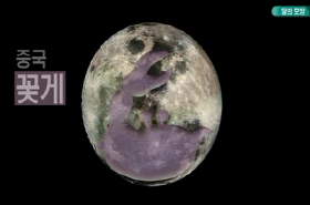 sample image 11