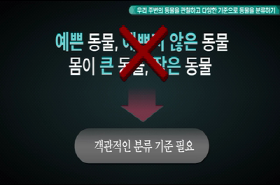 sample image 11