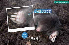 sample image 11