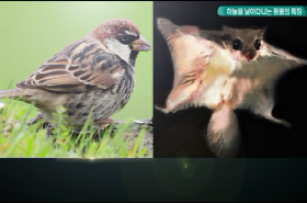 sample image 11