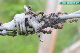 sample image 11