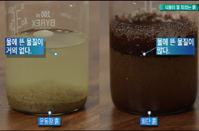 sample image 11