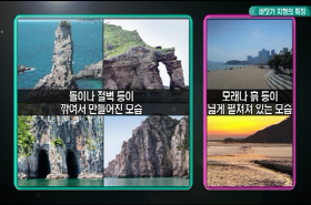 sample image 11