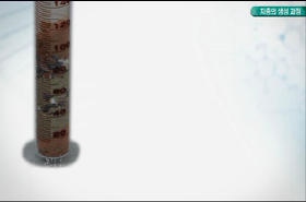 sample image 11