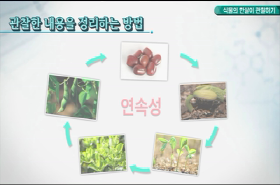 sample image 11