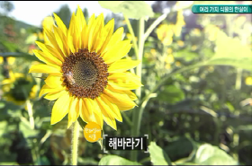 sample image 11