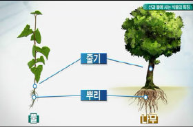 sample image 11