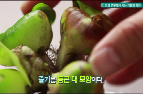 sample image 11