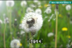 sample image 11