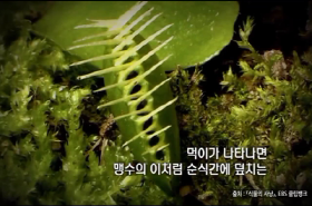 sample image 11