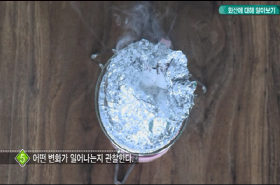 sample image 11