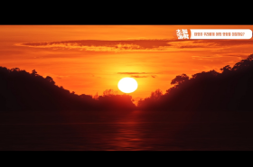 sample image 11