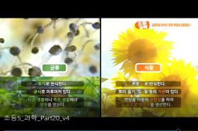 sample image 11