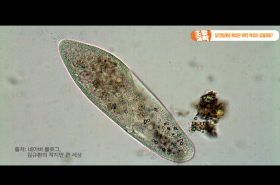 sample image 11