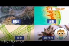 sample image 11