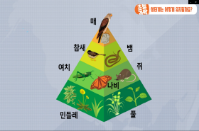 sample image 11