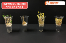 sample image 11