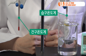 sample image 11