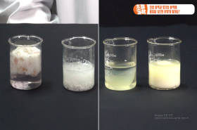 sample image 11