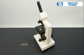 sample image 11