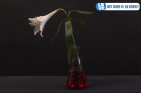 sample image 11