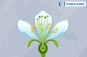 sample image 11