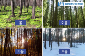 sample image 11
