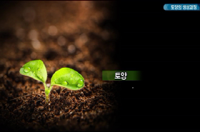 sample image 11