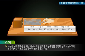 sample image 11