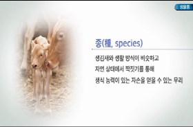 sample image 11