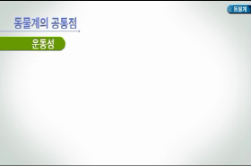 sample image 11