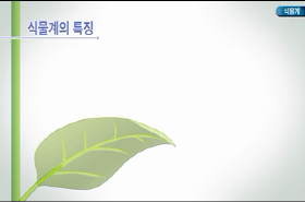 sample image 11