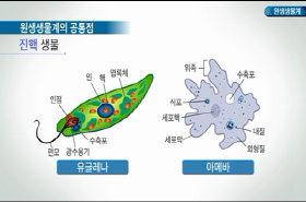sample image 11