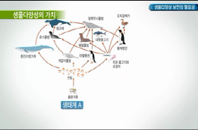 sample image 11