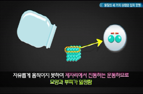 sample image 11