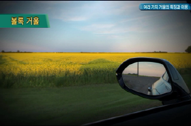 sample image 11