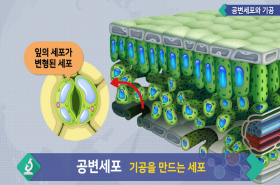 sample image 11