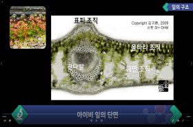 sample image 11
