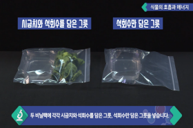 sample image 11
