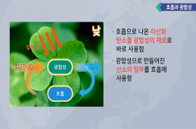 sample image 11