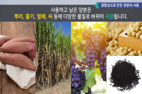 sample image 11
