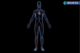sample image 11